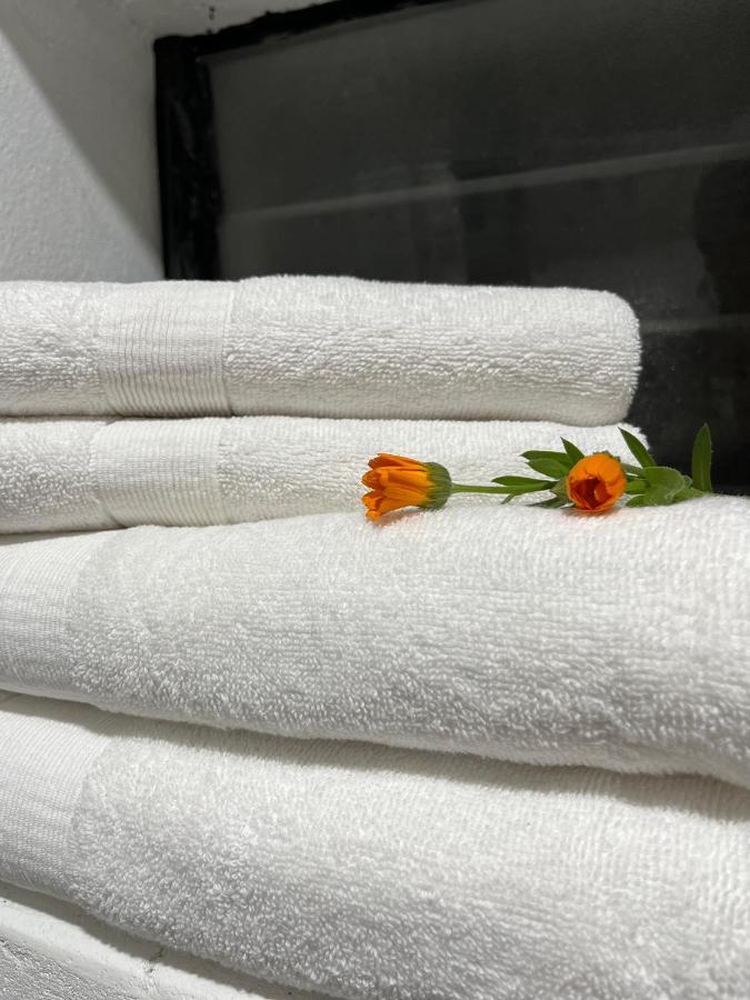 Cusco Kintu House公寓 外观 照片